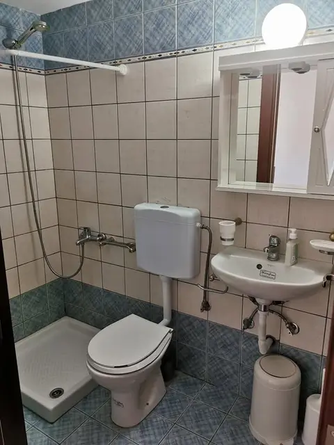 The alcove studio: the bathroom, with a walk-in shower