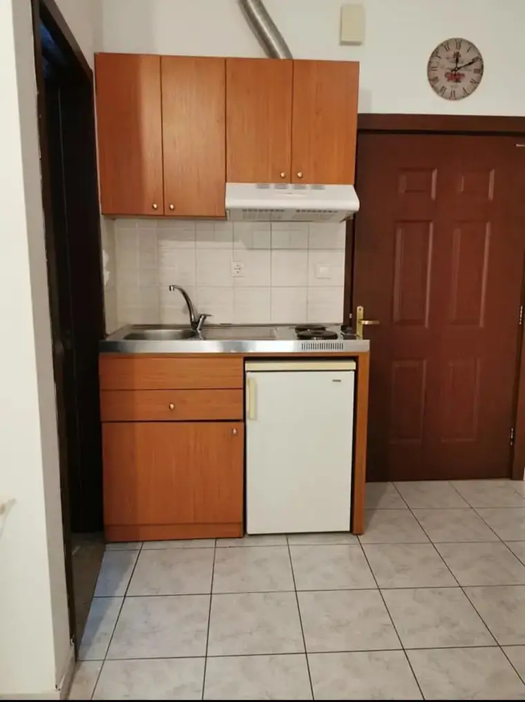 The backyard studio: the kitchenette, with a sink, hob and fridge